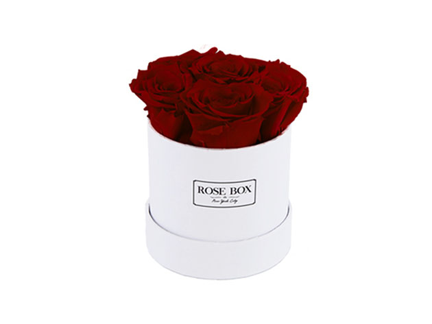 Mini White Box with Red Wine Roses