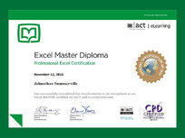 Excel Master Project and Certification - Product Image
