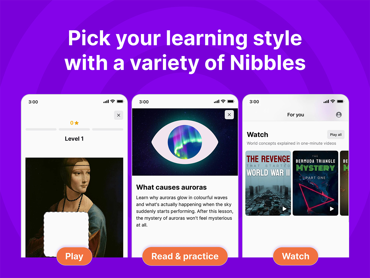 Nibble All-Around Knowledge App (5-Yr Subscription)