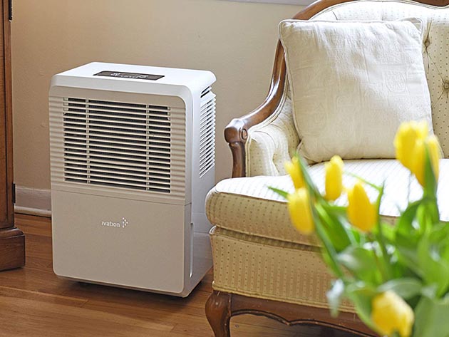 Ivation Energy Star Dehumidifier (4,500 Sq.Ft)