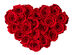 Rose Box™ Velvet Heart Box (Red) & Everlasting Roses (Red Flame)