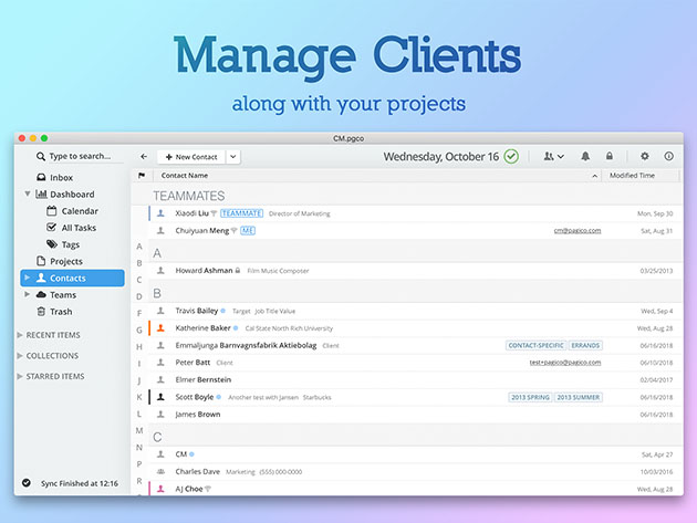 Pagico 9: Task & Data Management Software