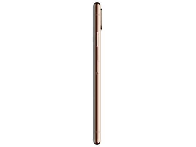 Apple iPhone XS Max (A1921) 64GB - Gold (Grade A+ Refurbished: Wi-Fi + Unlocked) 
