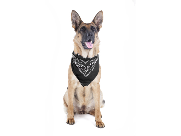 2 Pack Paisley Polyester Pets Dogs Bandana Triangle Shape  - Oversized - Black