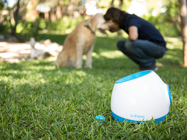 iFetch Too: Automatic Ball Launcher for Large Dogs