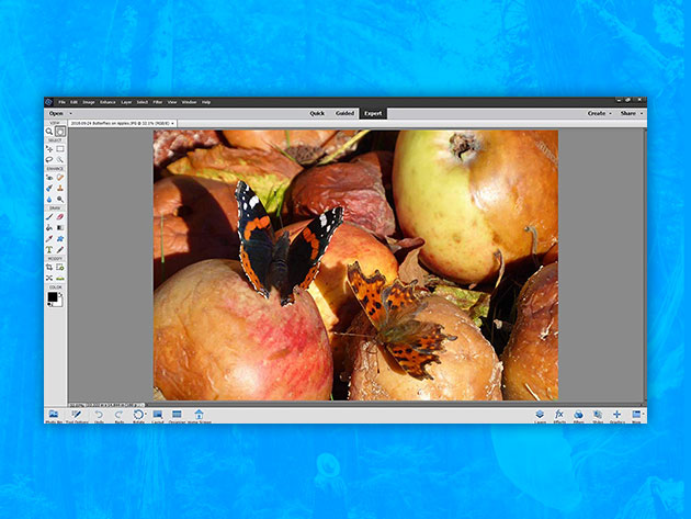 The Complete Adobe Photoshop Elements Course