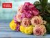 2 Dozen Farmer's Color Choice Long-Stem Roses + Vase Shipped for Only $49.99!