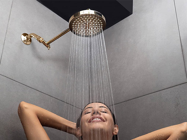 SparkPod High Pressure Rain Shower Head (Gold)