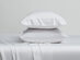 Kathy Ireland 300 Thread Count 100% Bamboo Rayon Sheet Set (King/White)