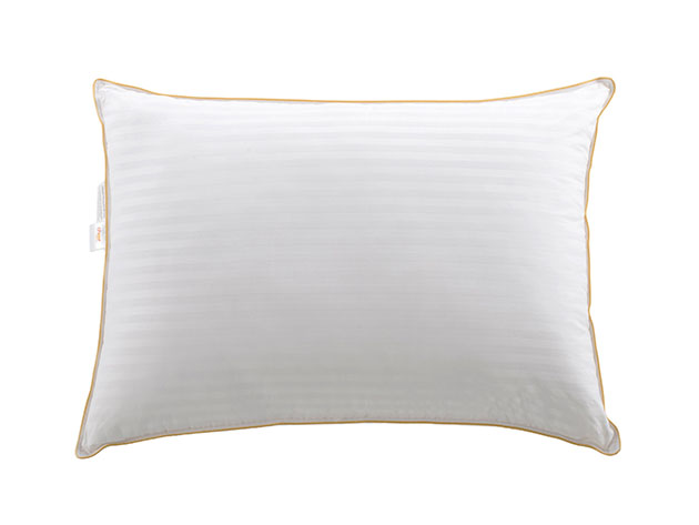 Cheer Collection Alternative Down Pillow