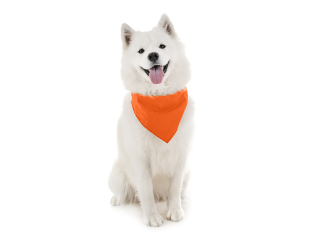 Balec Dog Solid Bandanas - 4 Pieces - Scarf Triangle Bibs for Any Small, Medium or Large Pets - White