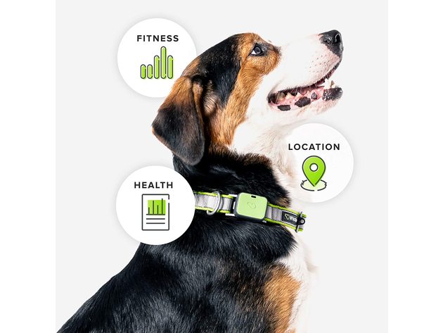 Whistle Go Explore Ultimate Health & Location GPS Tracker for Pets - Grey (New)