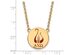 14K Plated Silver Alpha Chi Omega Large Enamel Necklace