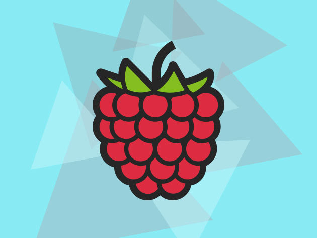 Raspberry Pi Essentials & Extras