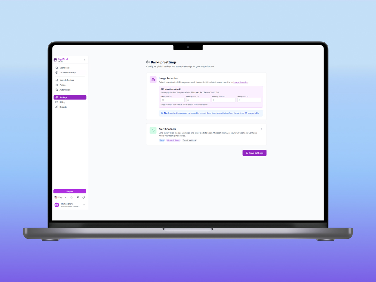 BigMind Data Recovery Pro Plan: Lifetime Subscription