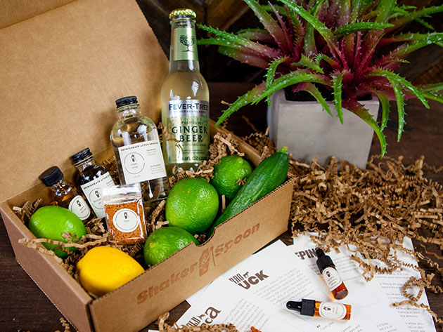 Shaker & Spoon Cocktail Club: 2-Month Subscription