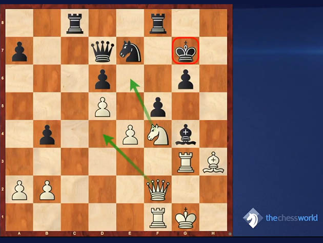 Positional Mastery of Magnus Carlsen Course