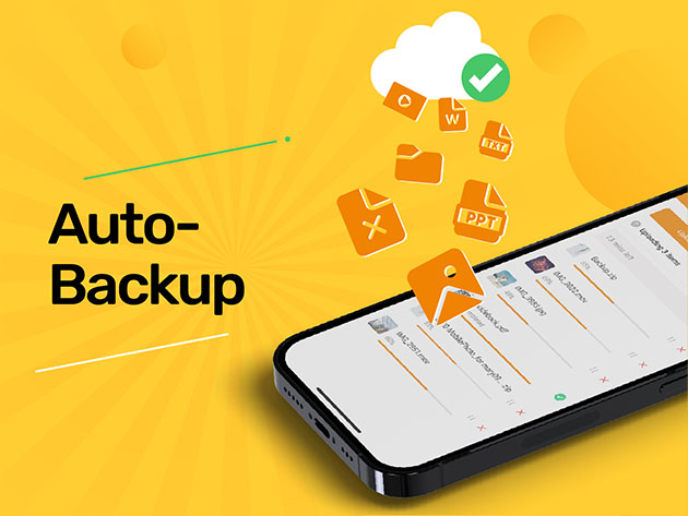 Amaryllo Cloud Storage: One-Time Payment (300GB)