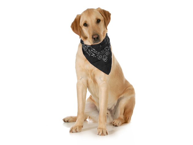 Mechaly Paisley Cotton Dog Scarf Triangle Bibs  - XL & Washable - Black