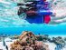 Premium Dry Top Snorkel Set