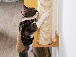 MyZoo Cylinder: Wall-Mounted/Floor Standing Cat Scratching Post