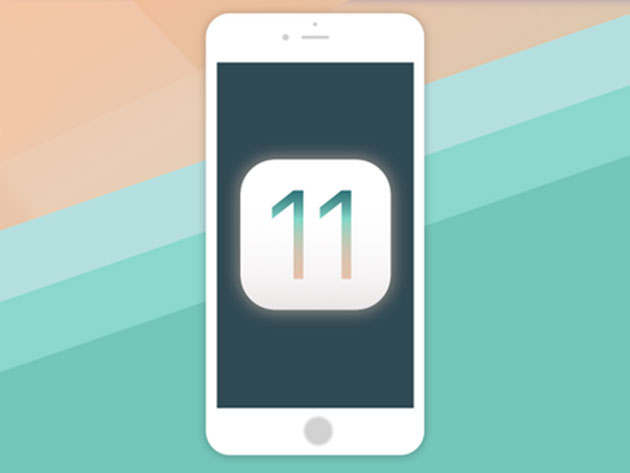 iOS 11 & Swift 4: From Beginner to Paid Professional