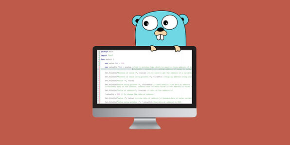 The Go Programming Language Guide: Code Like a Pro - Product Image