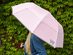 The Collapsible Umbrella (Pink)
