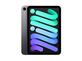 Apple iPad mini (2021) 6th Gen 256GB Wi-Fi Space Gray (Refurbished)