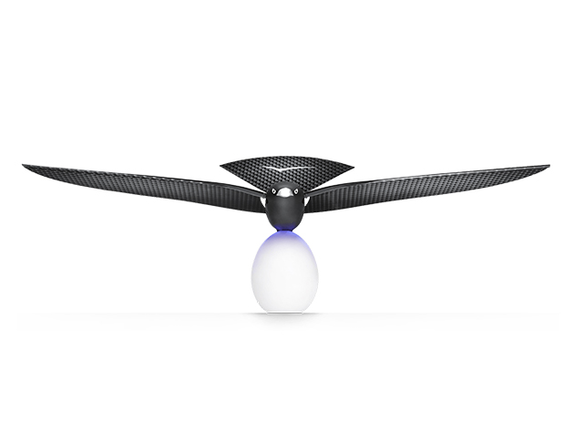 Bionic Bird: The Furtive Drone