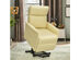Gorelax Electric Power Lift Massage Recliner Chair Sofa w/Remote Control Beige