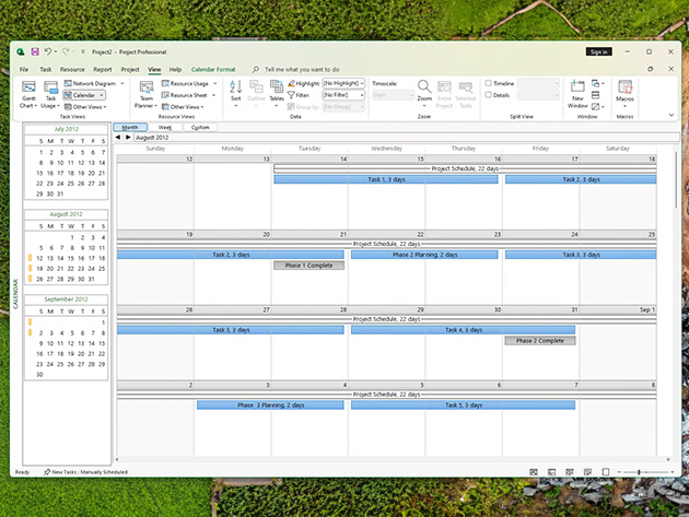 Microsoft Project Standard 2024: Lifetime License for Windows