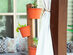 Sagano Garden Indoor and Outdoor Vertical Vertical Planters (Terracotta)