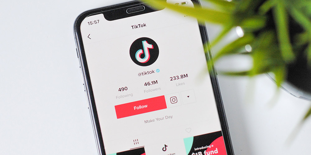 Beginner TikTok Marketing: TikTok for Day & Week 1