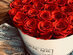 Rose Box™ Large White Box & Everlasting Roses