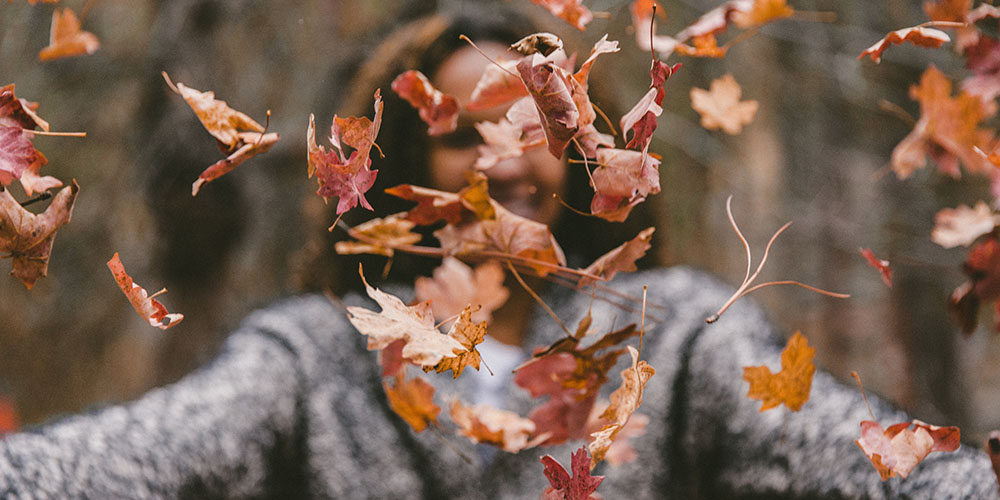 Lightroom Editing: Transform Your Fall Photos & Free Presets