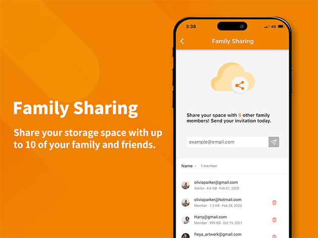 Amaryllo Cloud Storage: One-Time Payment (2-Pack)