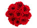 Rose Box™ Golden Box & Long-Lasting Roses (Red Flame)