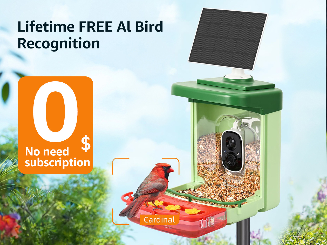 BirdHi Ultra Solar Powered Smart Bird Feeder with Camera