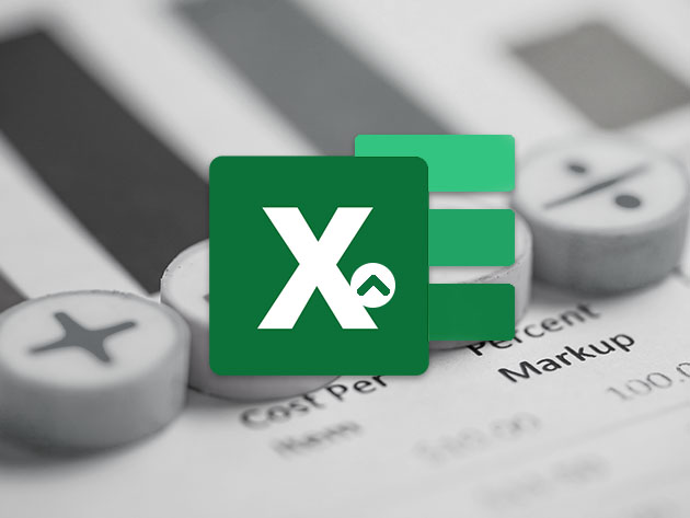 Microsoft Excel: Beginner Course