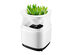 Micro-Ecological Desktop Air Purifier with Plant Pot
