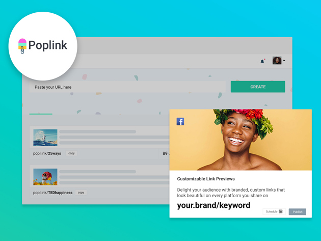Poplink Link Shortener: Lifetime Startup Subscription