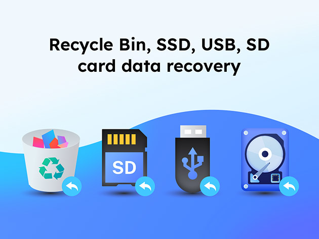 EaseUS Data Recovery Wizard: Lifetime Subscription