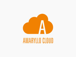 Amaryllo Cloud Storage: One-Time Payment (2-Pack)