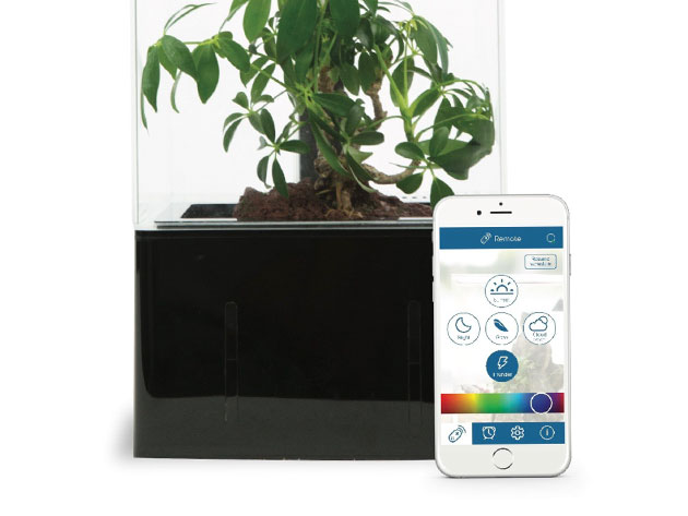 EcoQube Air Desktop Greenhouse - Premium UV