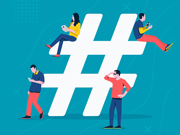 The Complete Twitter Marketing Bootcamp