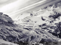 Master the Art of Coloring Black and White Photographs - Product Image