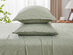 Kathy Ireland 4 Piece Heathered Jersey Knit Cotton Sheet Set (Queen/Olive)