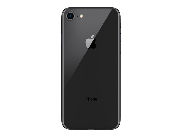 Apple iPhone 8 (A1863) 256GB - Space Gray (Grade A+ Refurbished: Wi-Fi + Unlocked)