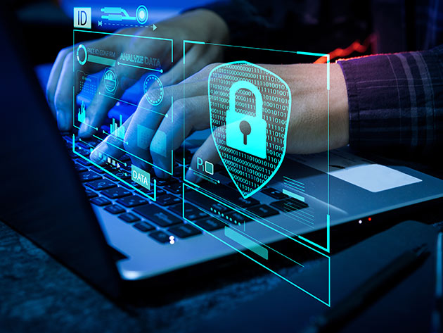 The Dynamic 2023 Data & IT Security Training Bundle